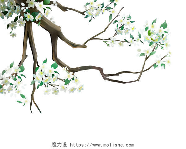 白色手绘古风中国风梨花枝树枝元素PNG素材